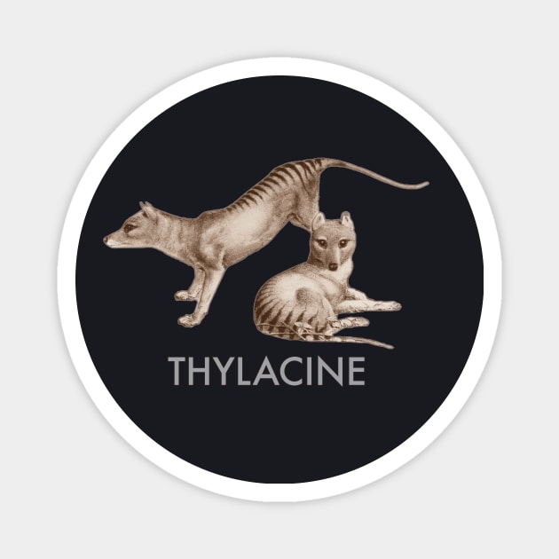 Thylacine Magnet by ArtisticEnvironments